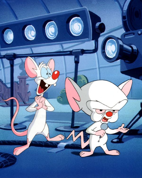 Pinky and the Brain: A Pinky an...